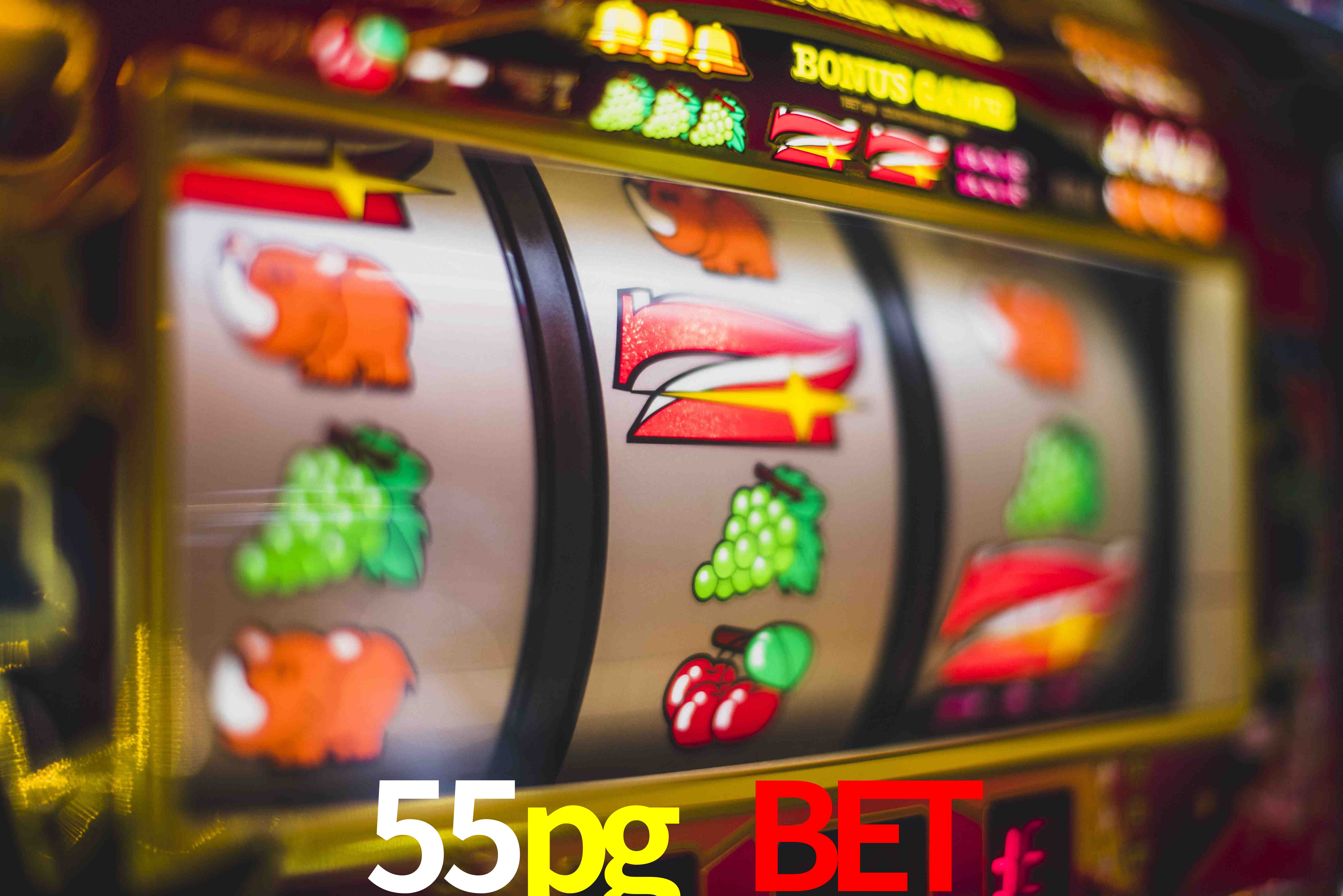VIP Casino 55pg bet